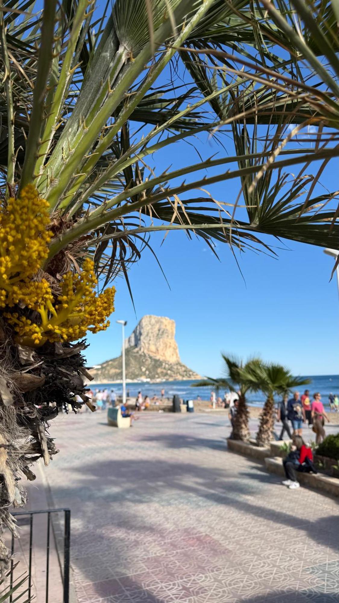 Esmeralda Suites Sunrise Con Piscina Calpe Esterno foto