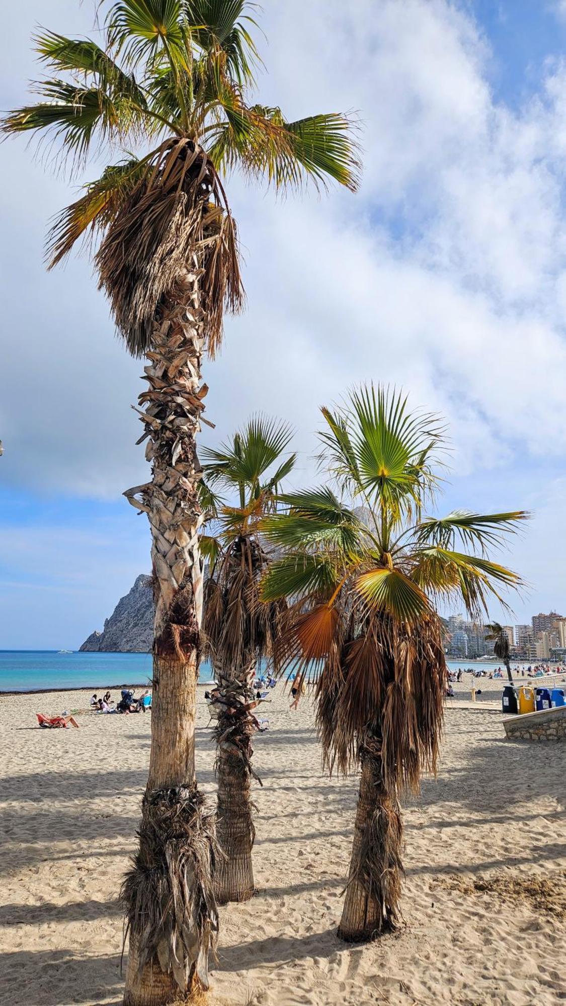 Esmeralda Suites Sunrise Con Piscina Calpe Esterno foto